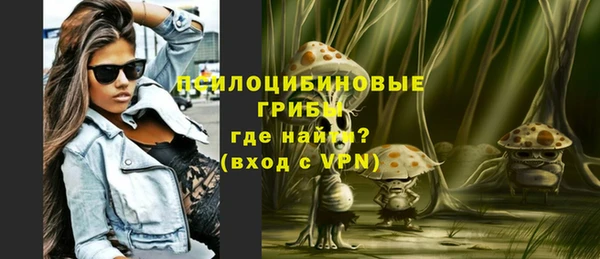 соль ск Алексеевка