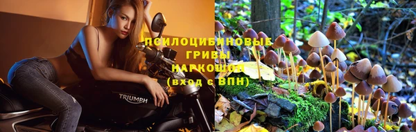 кокаин премиум Алзамай