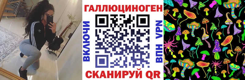 как найти наркотики  Добрянка  Псилоцибиновые грибы Psilocybe 