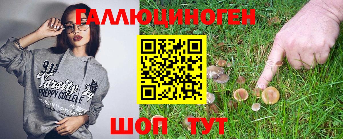 Псилоцибиновые грибы Psilocybine cubensis Добрянка
